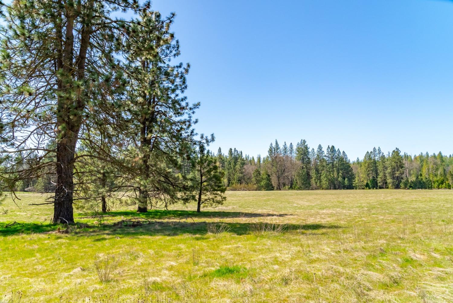 TBD Fiske Road, Coulterville, California image 32