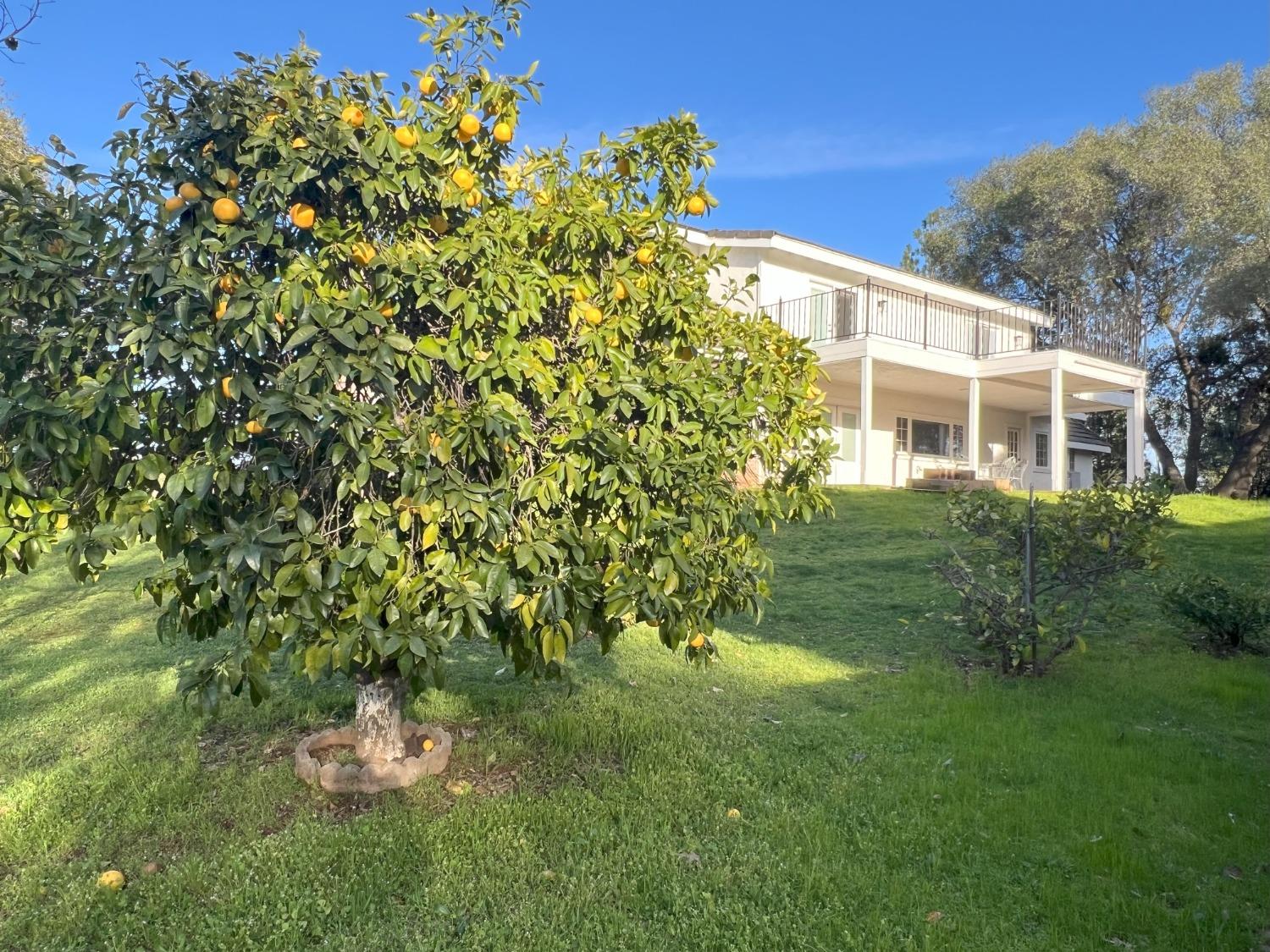 Detail Gallery Image 23 of 36 For Address Is Not Disclosed, El Dorado,  CA 95623 - 3 Beds | 2/1 Baths