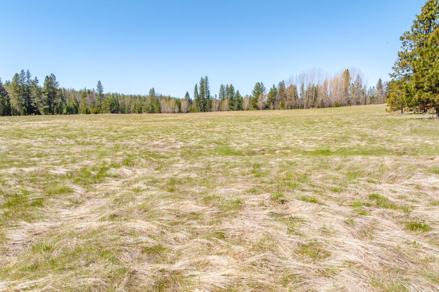 TBD Fiske Road, Coulterville, California image 33