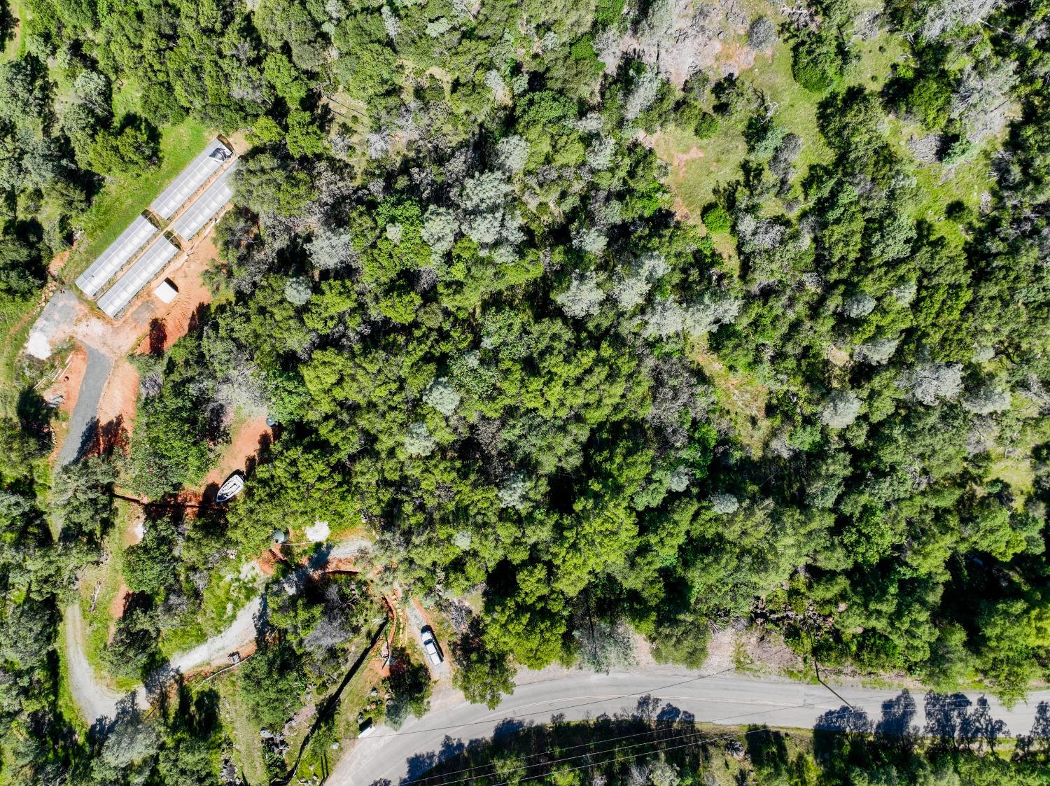 Perimeter Rd, Grass Valley, California image 11