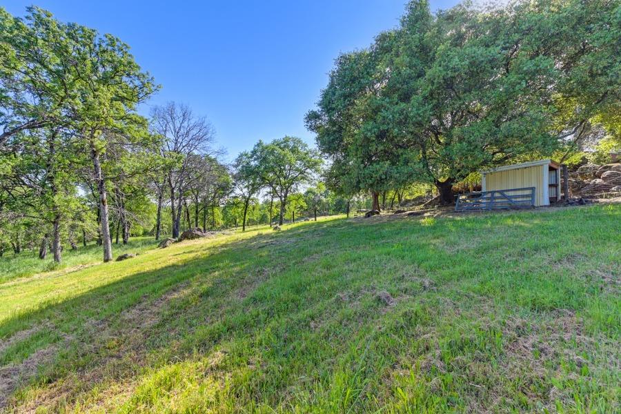 Detail Gallery Image 77 of 99 For 11700 Quail Rd, Auburn,  CA 95602 - 3 Beds | 2 Baths