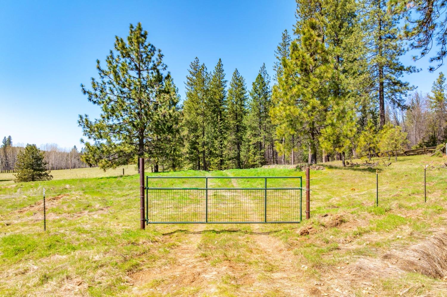 TBD Fiske Road, Coulterville, California image 6