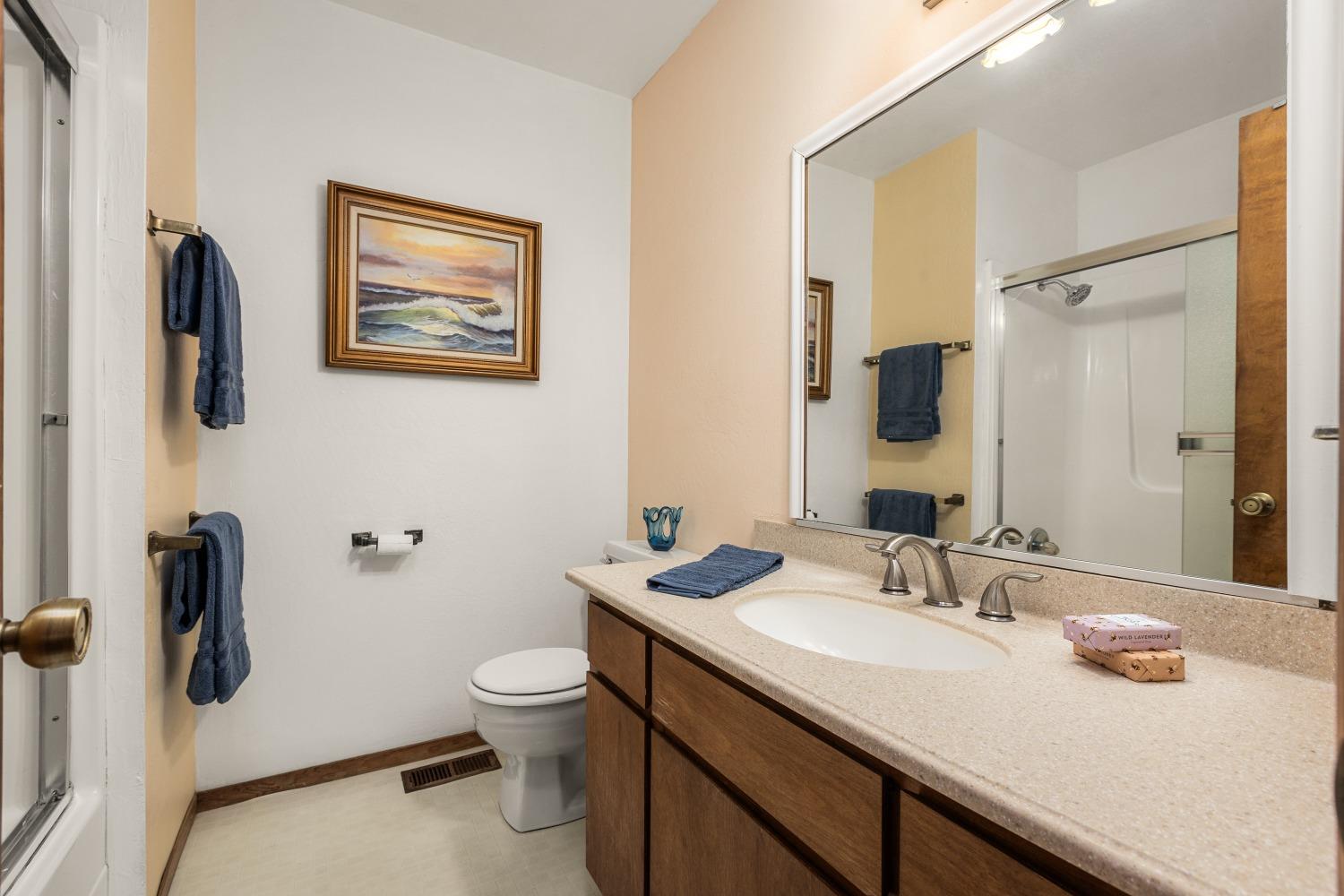 Detail Gallery Image 19 of 38 For 12910 Roadrunner Dr, Penn Valley,  CA 95946 - 3 Beds | 2 Baths
