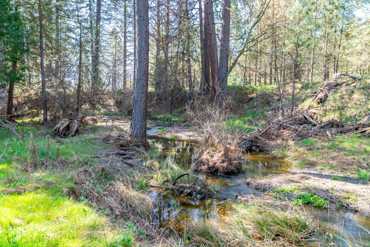 TBD Fiske Road, Coulterville, California image 18