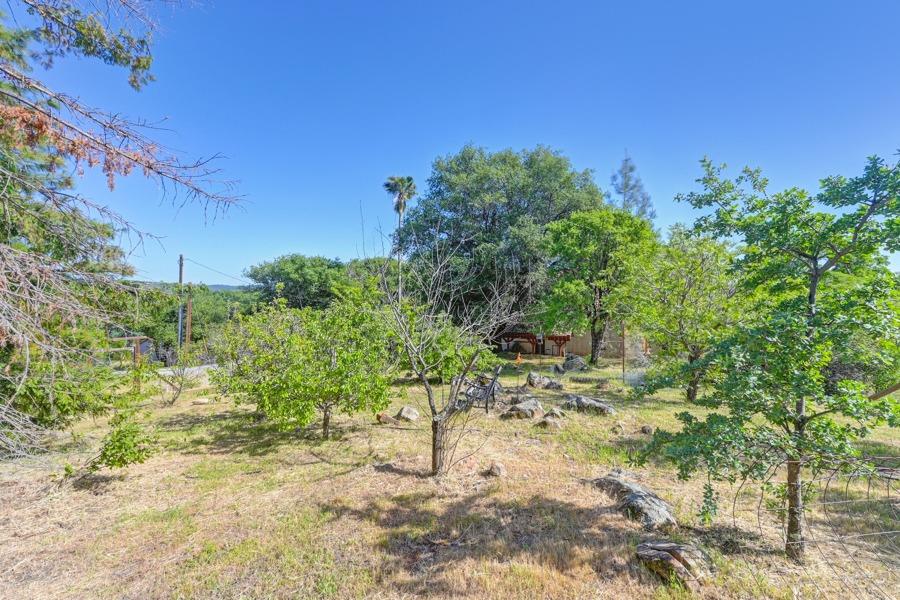 Detail Gallery Image 92 of 99 For 11700 Quail Rd, Auburn,  CA 95602 - 3 Beds | 2 Baths