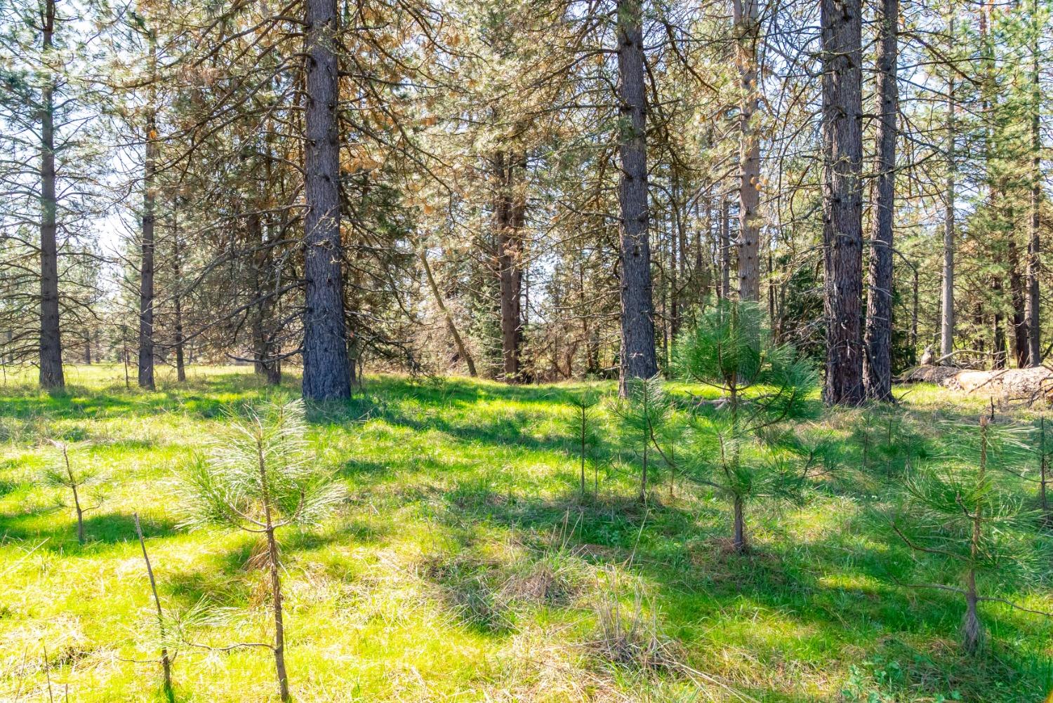 TBD Fiske Road, Coulterville, California image 21