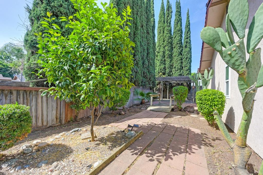 Detail Gallery Image 55 of 64 For 1321 White Owl Ln, Stockton,  CA 95215 - 3 Beds | 2 Baths