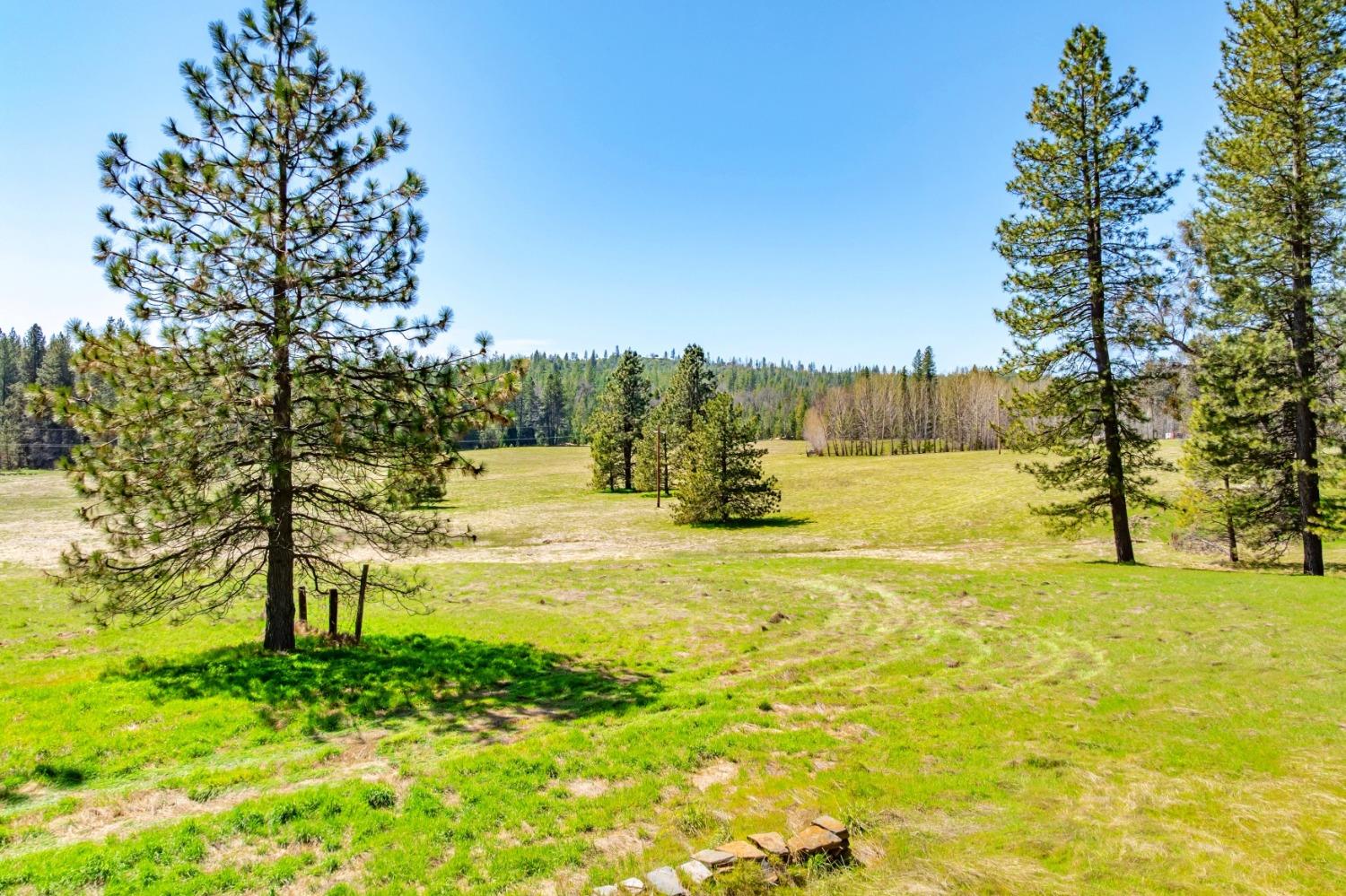 TBD Fiske Road, Coulterville, California image 4