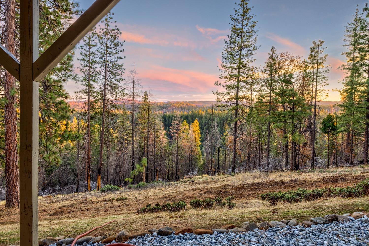 Wildrose Drive, Grizzly Flats, California image 42