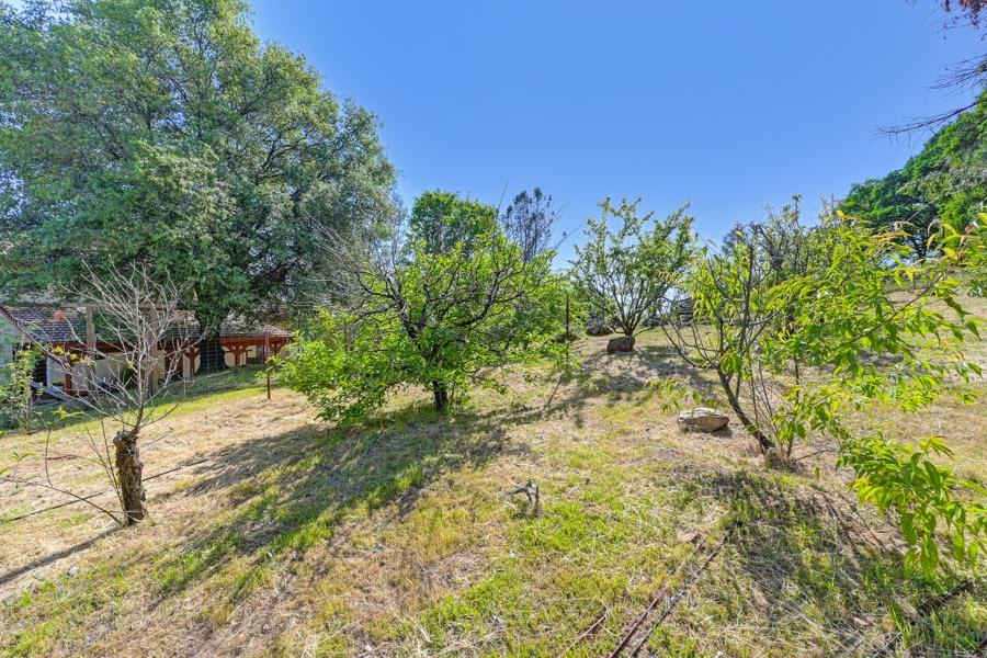 Detail Gallery Image 91 of 99 For 11700 Quail Rd, Auburn,  CA 95602 - 3 Beds | 2 Baths