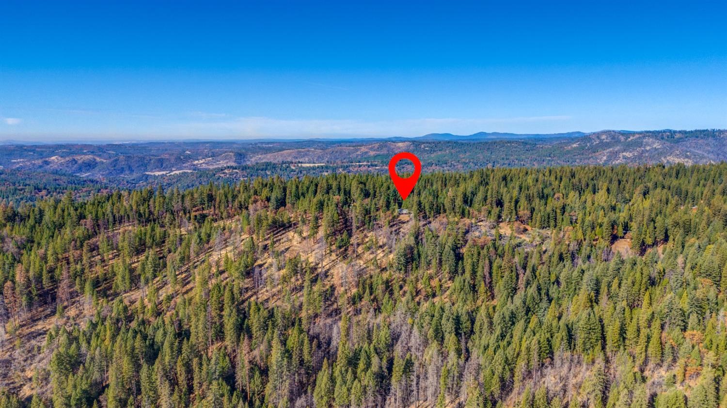 Wildrose Drive, Grizzly Flats, California image 38
