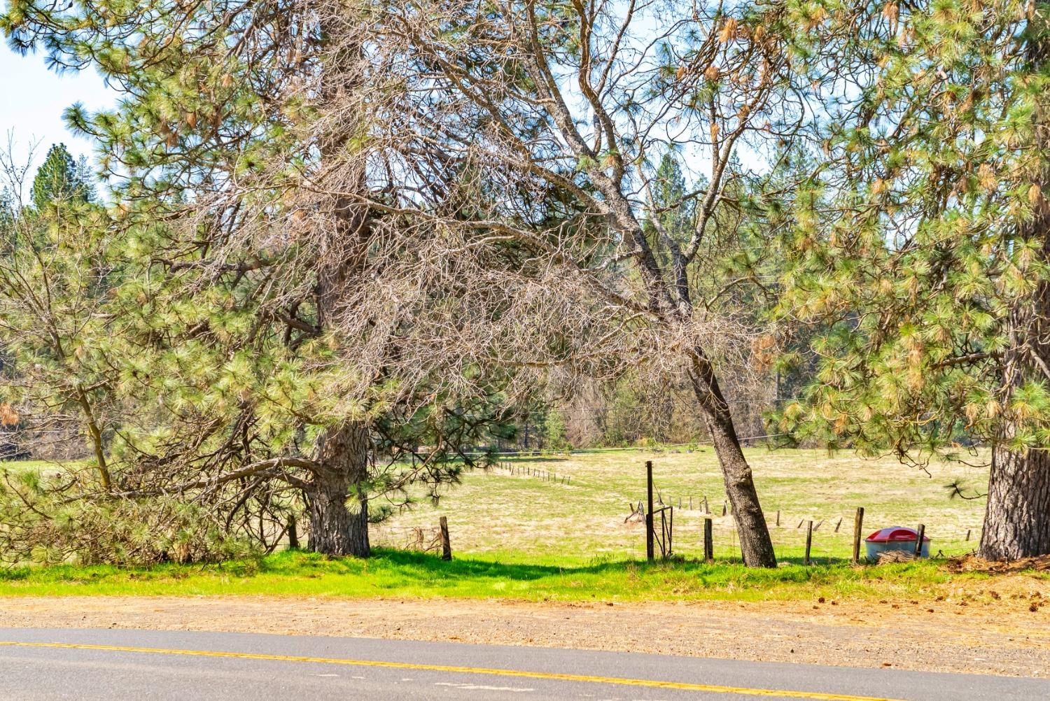 TBD Fiske Road, Coulterville, California image 30