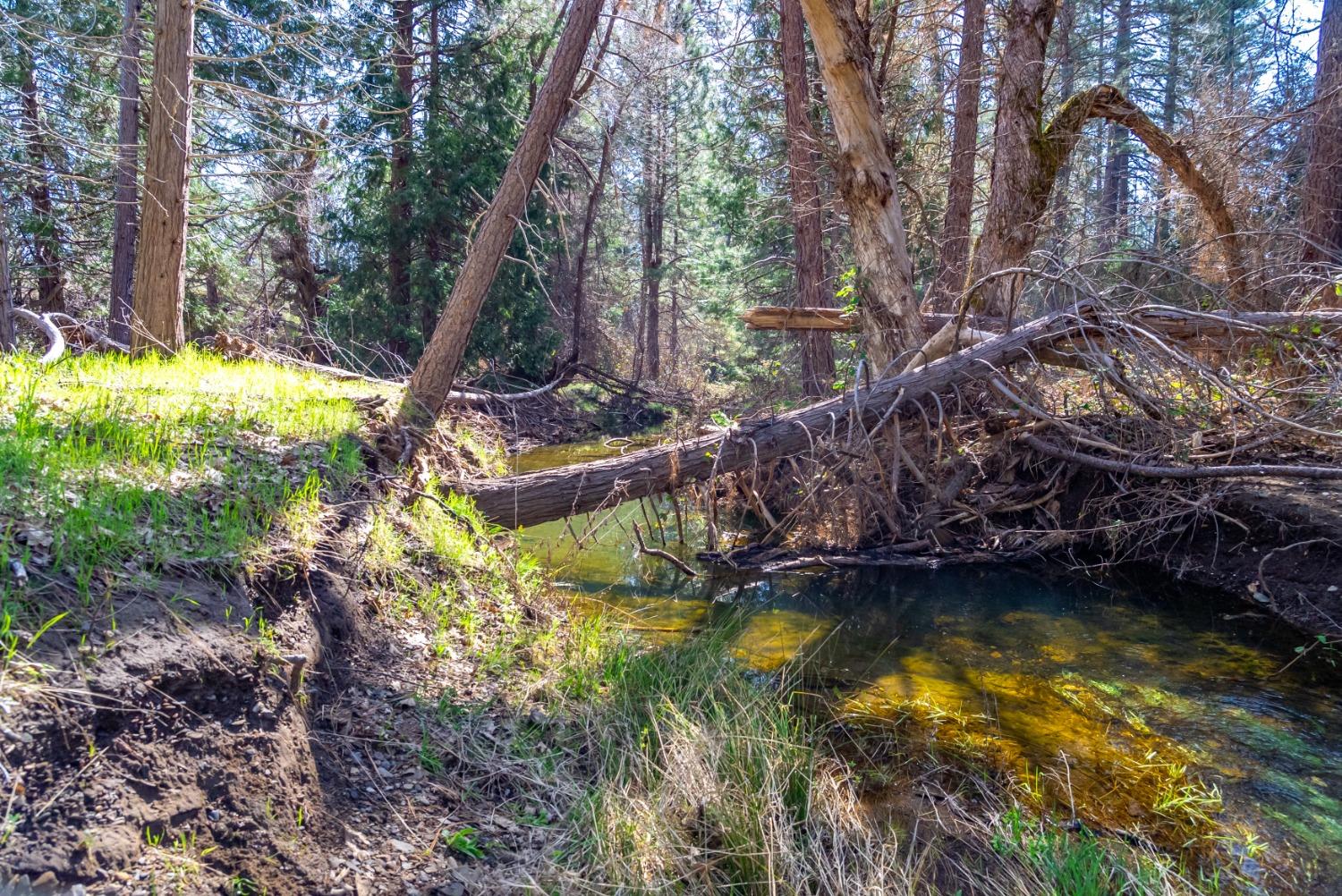 TBD Fiske Road, Coulterville, California image 16
