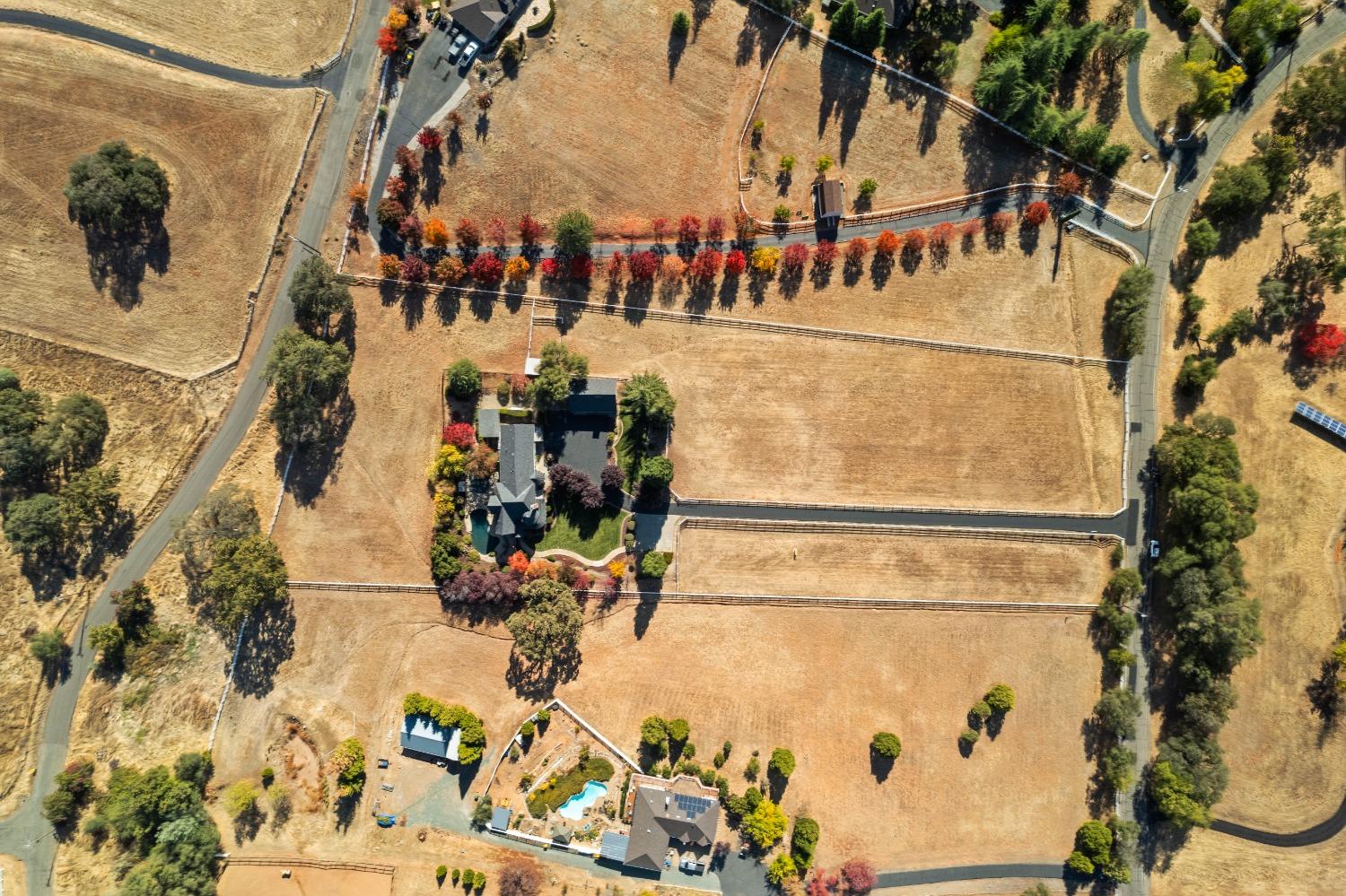 Wagon Loop, Placerville, California image 50