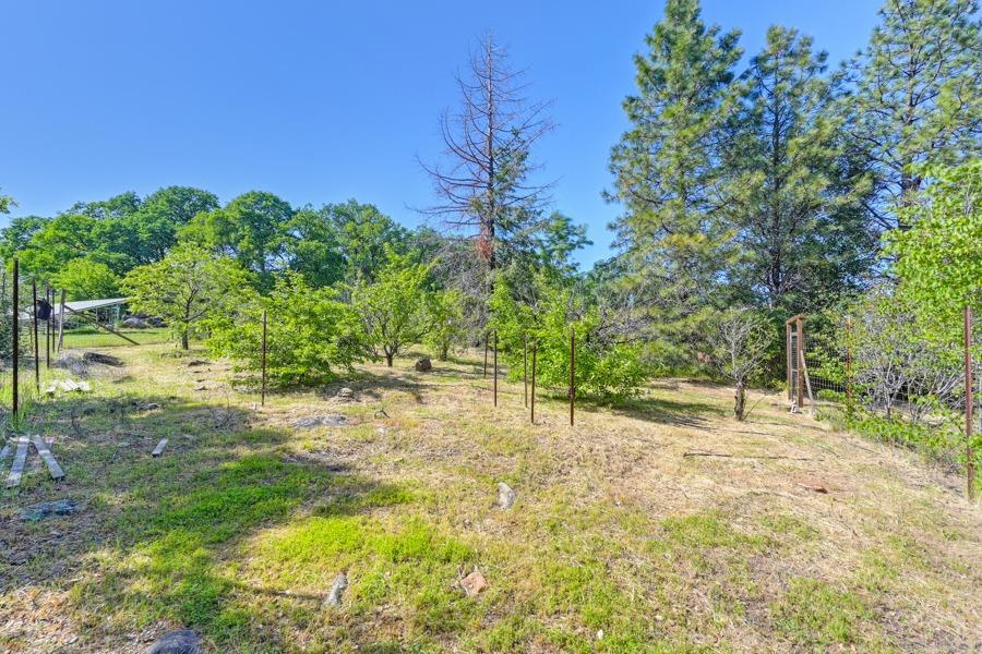 Detail Gallery Image 90 of 99 For 11700 Quail Rd, Auburn,  CA 95602 - 3 Beds | 2 Baths