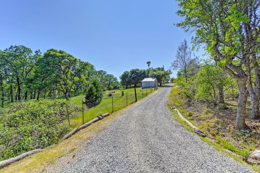 Detail Gallery Image 81 of 99 For 11700 Quail Rd, Auburn,  CA 95602 - 3 Beds | 2 Baths