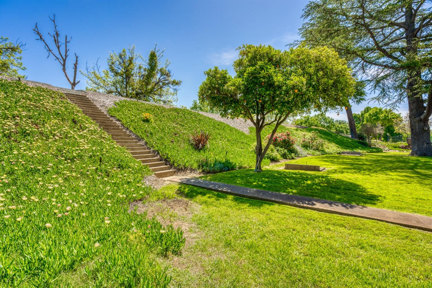 Detail Gallery Image 10 of 81 For 32454 S River Rd, Clarksburg,  CA 95612 - 3 Beds | 2/1 Baths