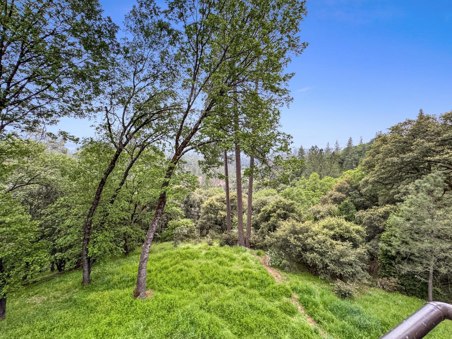 Bear Ridge Road, Grass Valley, California image 24