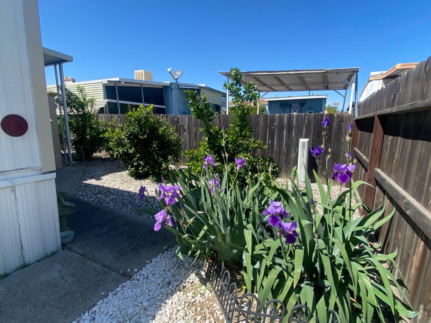 Detail Gallery Image 7 of 7 For 1830 E Yosemite Ave 72, Manteca,  CA 95336 - 2 Beds | 1 Baths