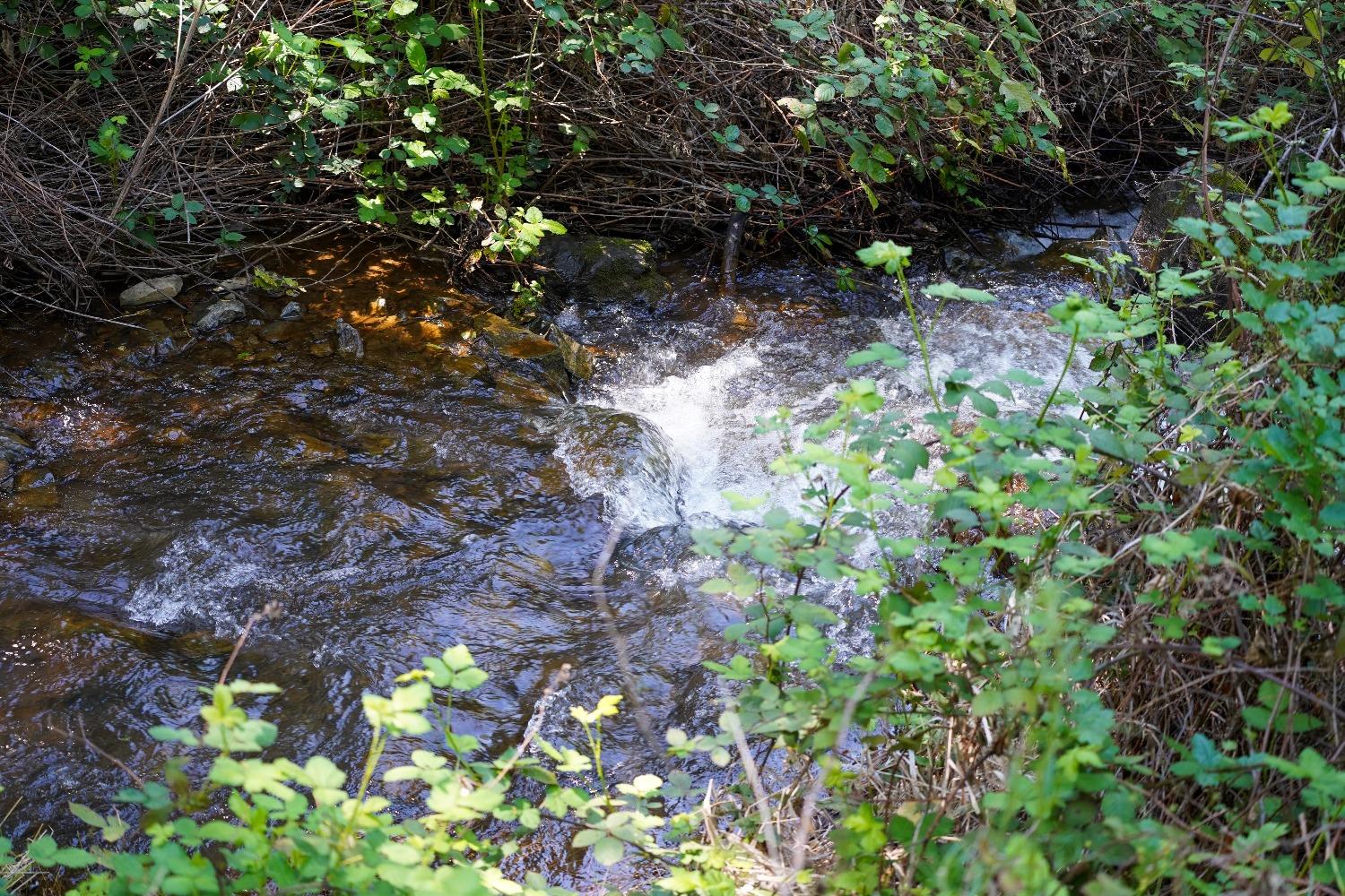 Perimeter Rd, Grass Valley, California image 5
