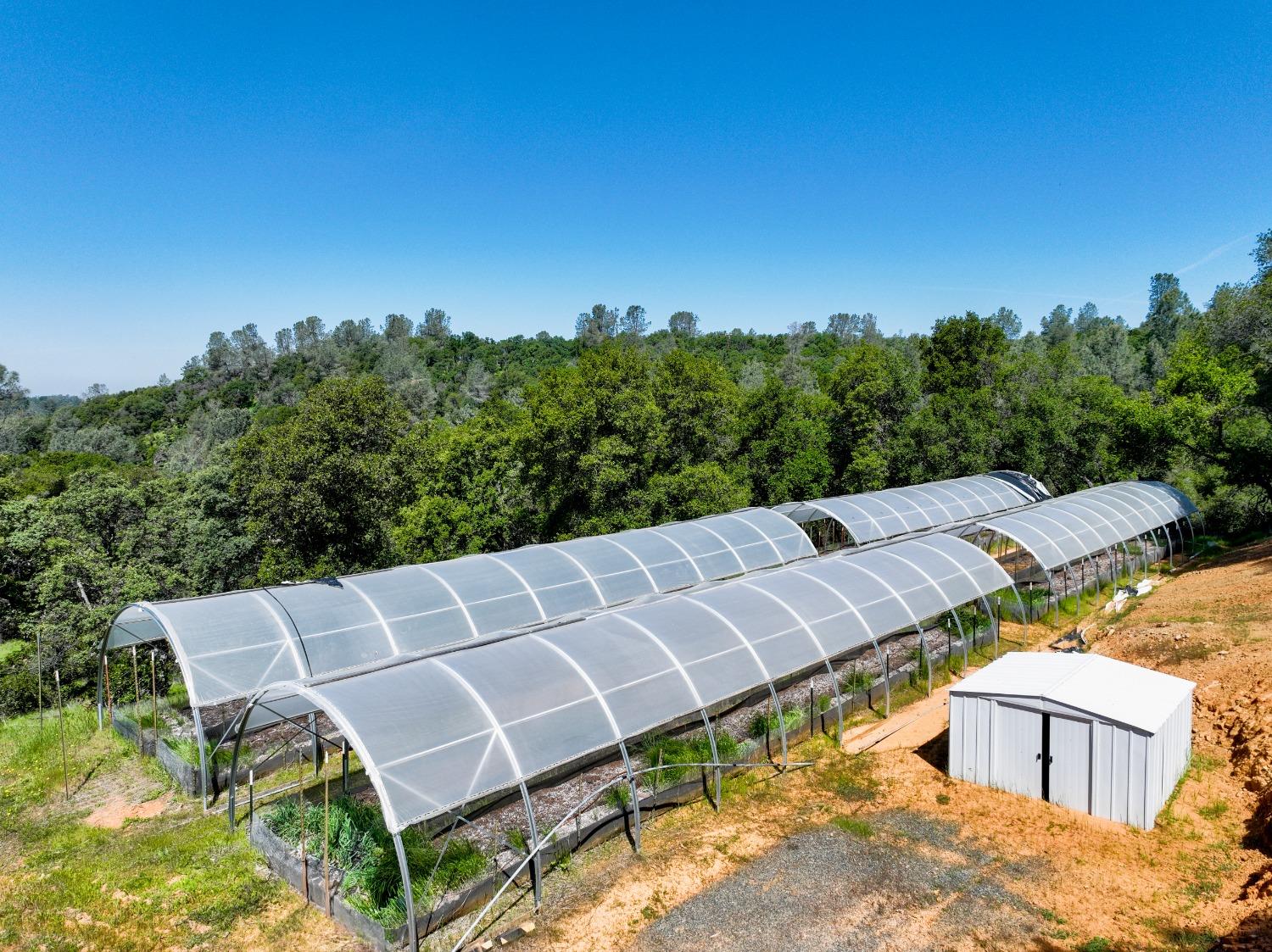 Perimeter Rd, Grass Valley, California image 19