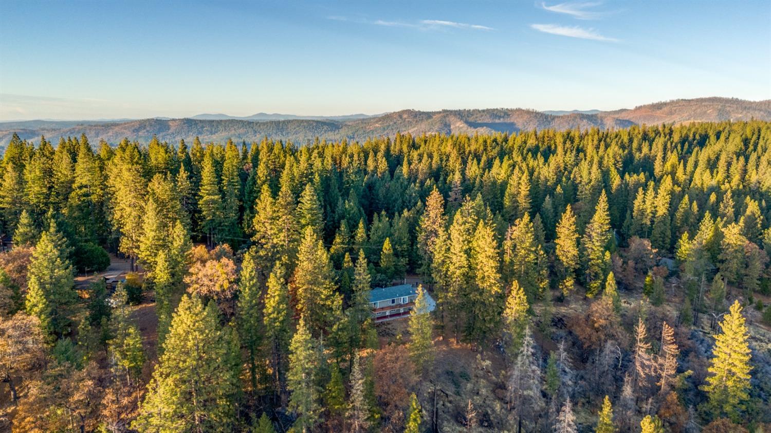 Wildrose Drive, Grizzly Flats, California image 43