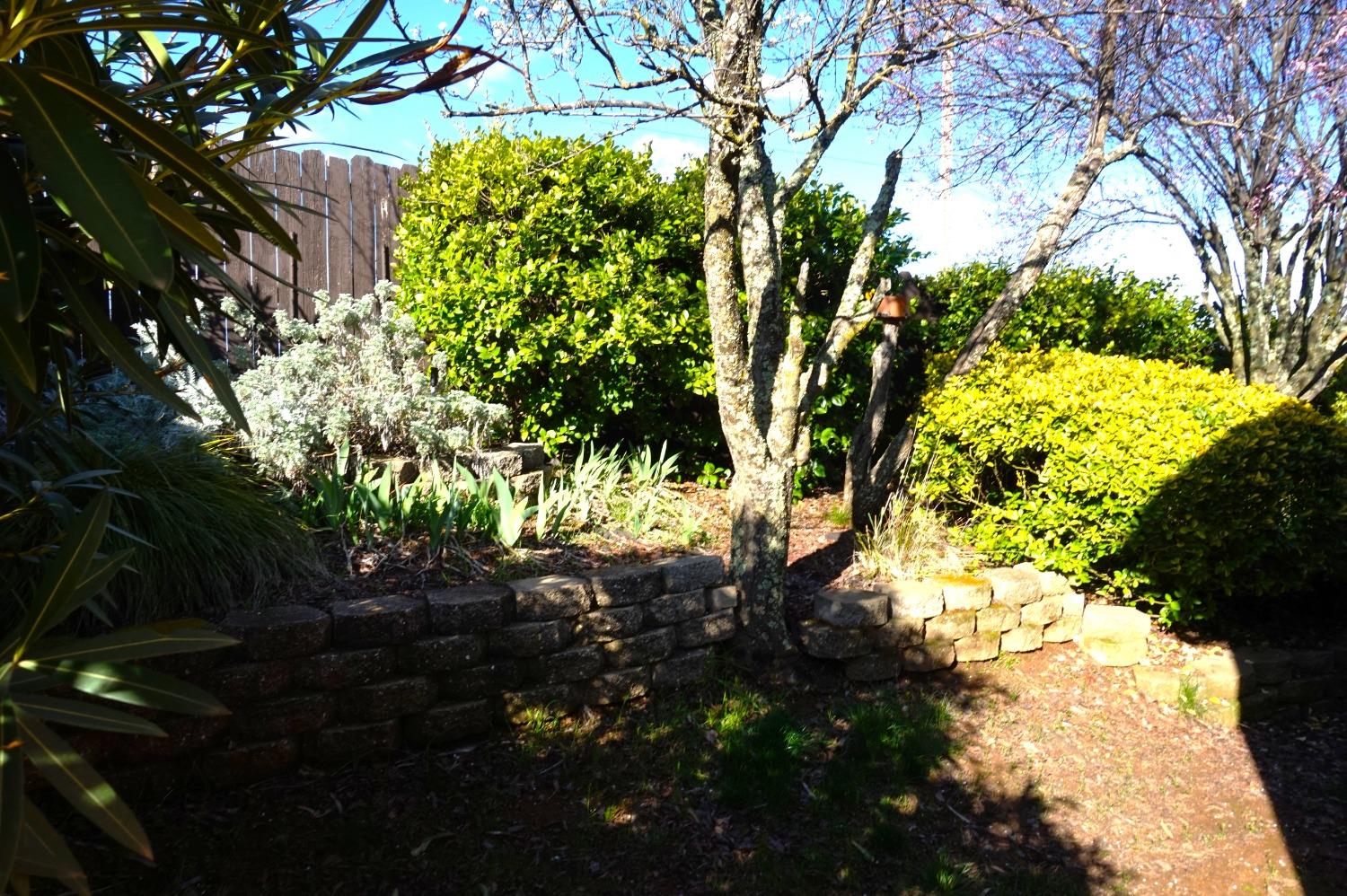 Estey Way, Plymouth, California image 30