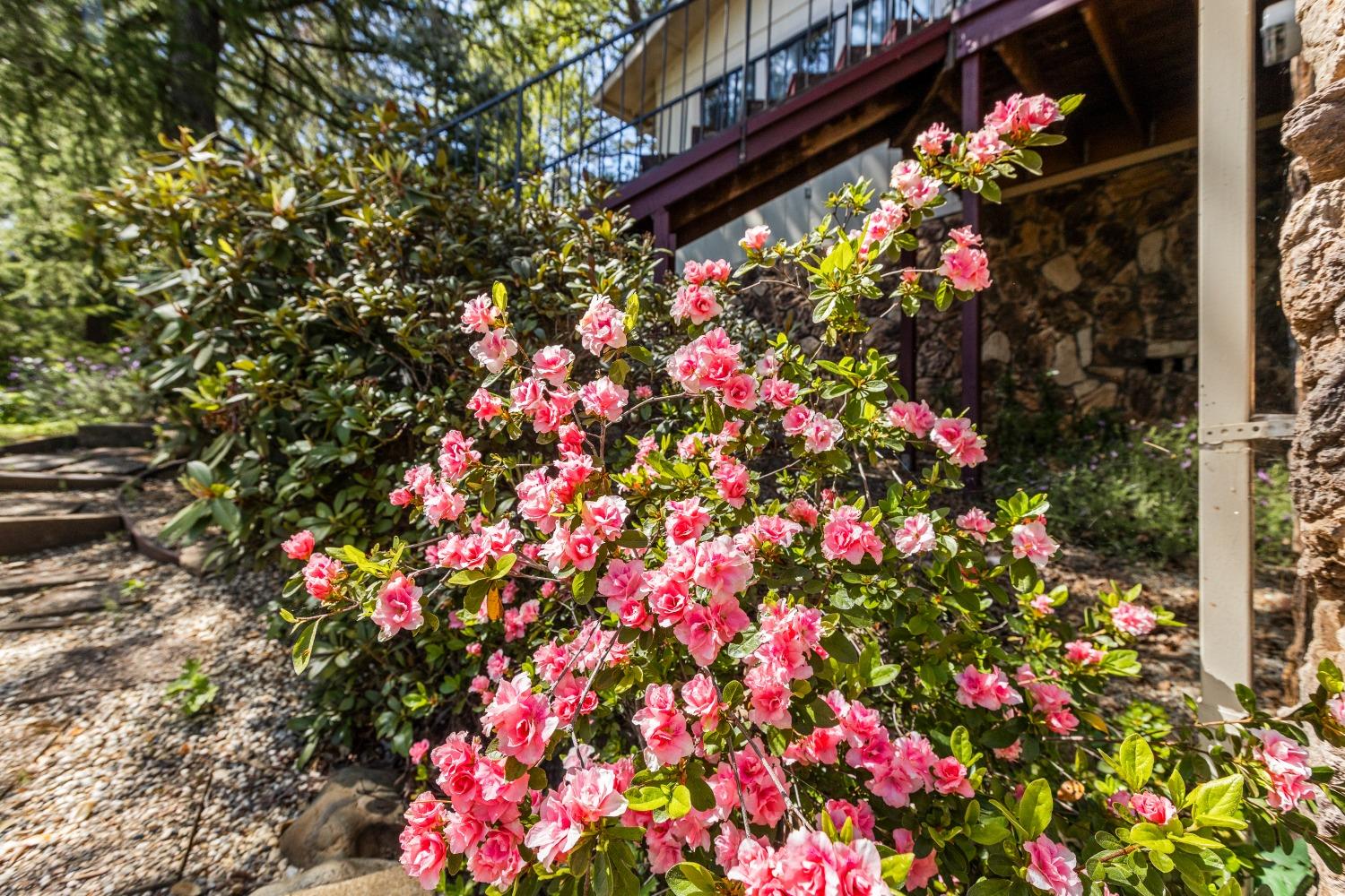 Detail Gallery Image 32 of 38 For 12910 Roadrunner Dr, Penn Valley,  CA 95946 - 3 Beds | 2 Baths