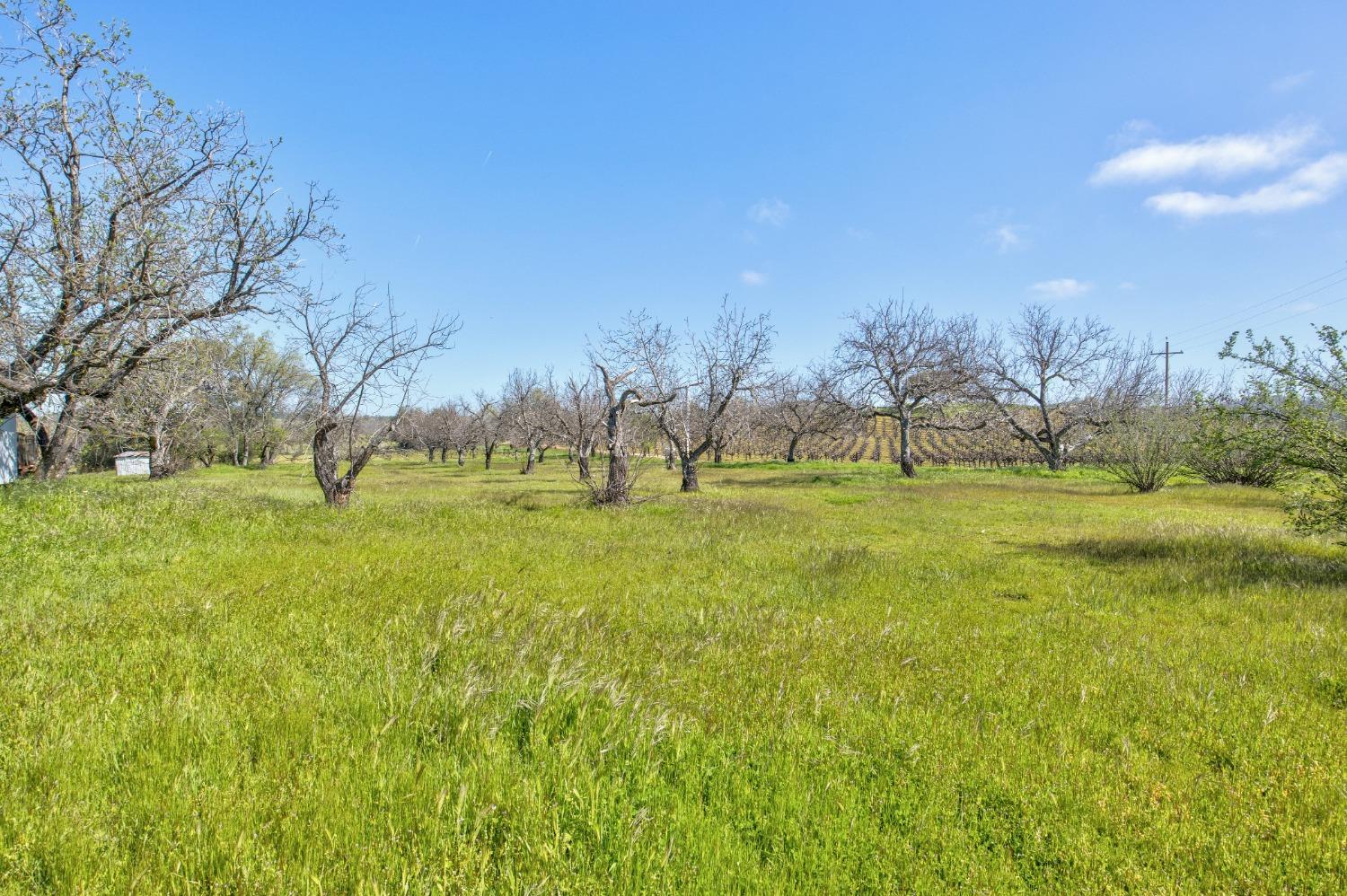 Detail Gallery Image 47 of 87 For 20865 Shenandoah School Rd, Plymouth,  CA 95669 - 5 Beds | 1 Baths