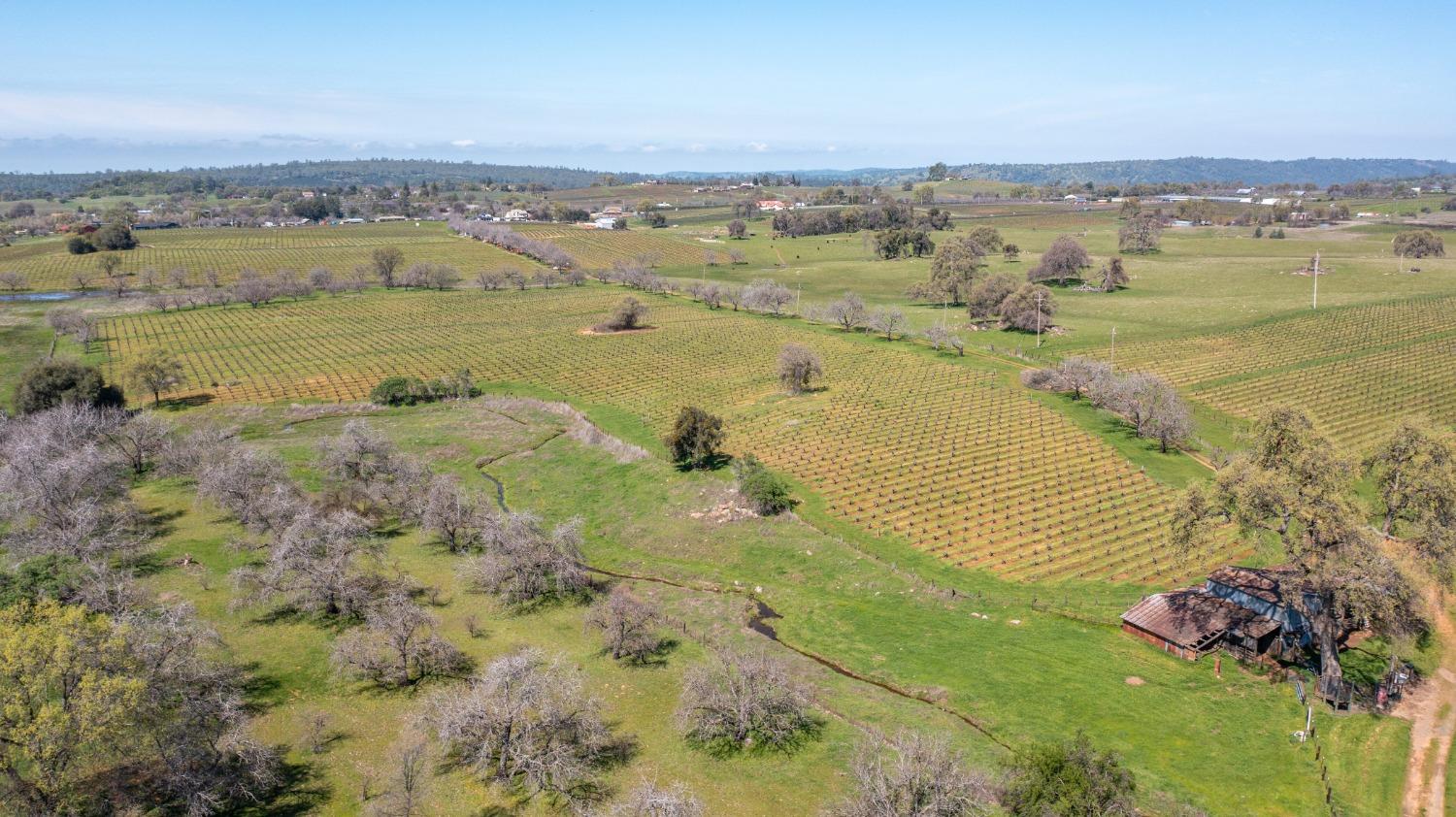 Detail Gallery Image 74 of 87 For 20865 Shenandoah School Rd, Plymouth,  CA 95669 - 5 Beds | 1 Baths