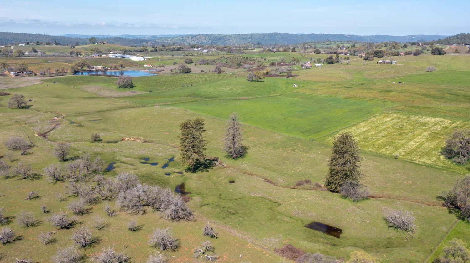 Detail Gallery Image 84 of 87 For 20865 Shenandoah School Rd, Plymouth,  CA 95669 - 5 Beds | 1 Baths