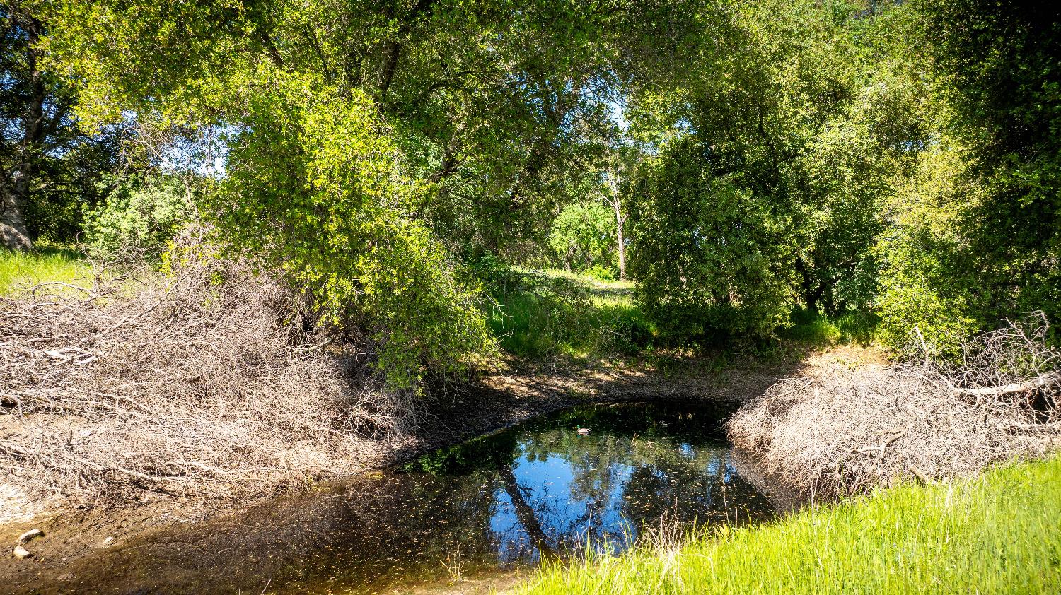 Sunshine Lane, Mokelumne Hill, California image 29