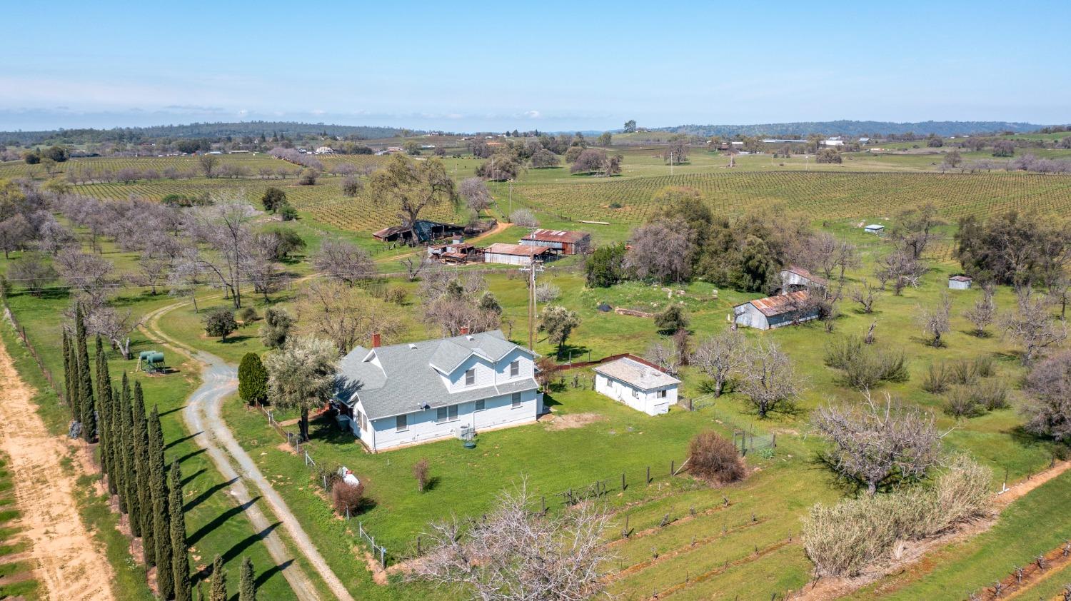 Detail Gallery Image 1 of 87 For 20865 Shenandoah School Rd, Plymouth,  CA 95669 - 5 Beds | 1 Baths