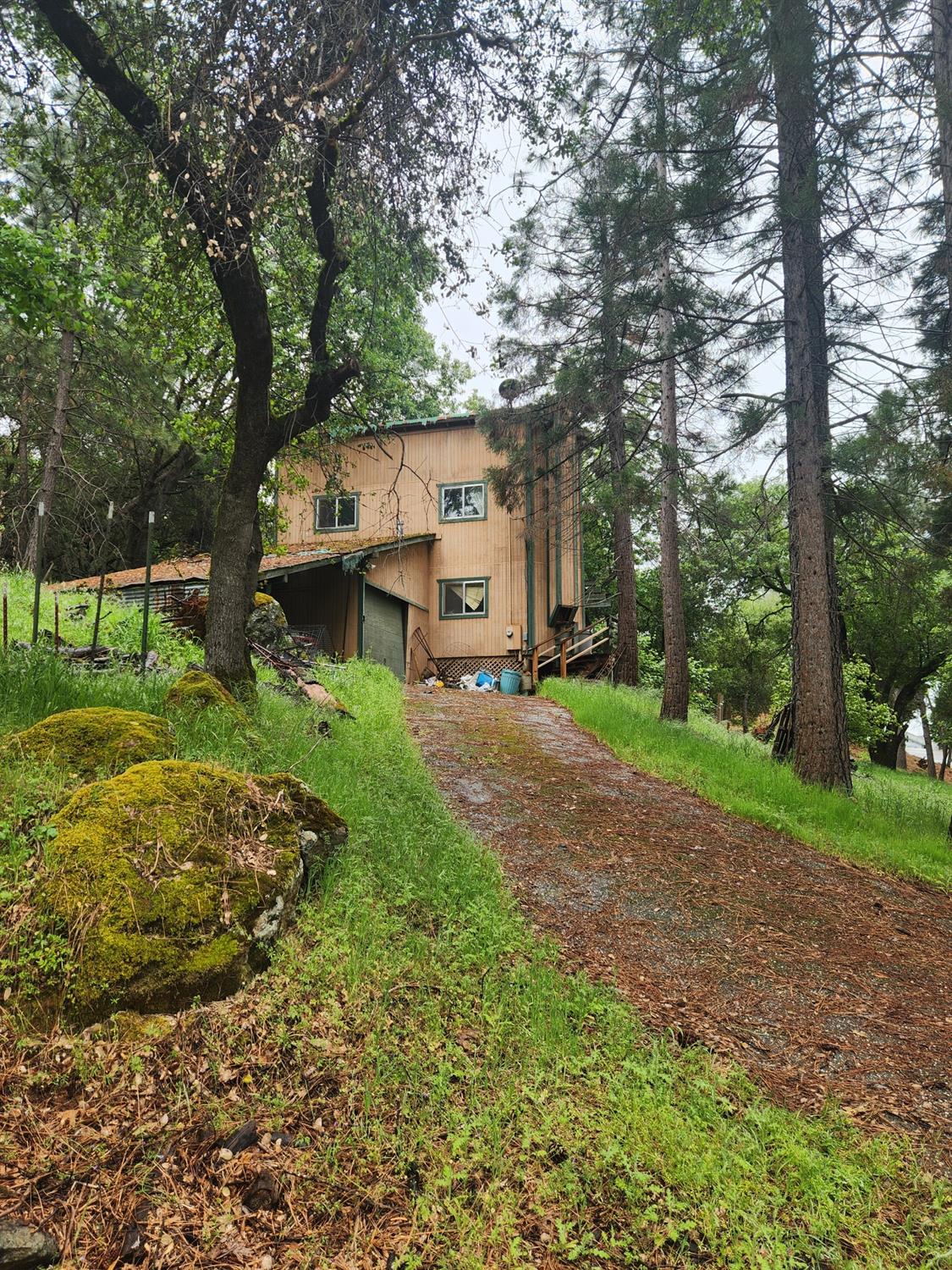 Patricia Way, Grass Valley, California image 5