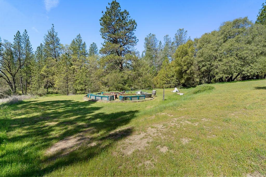Horseshoe Bend Road, Somerset, California image 49