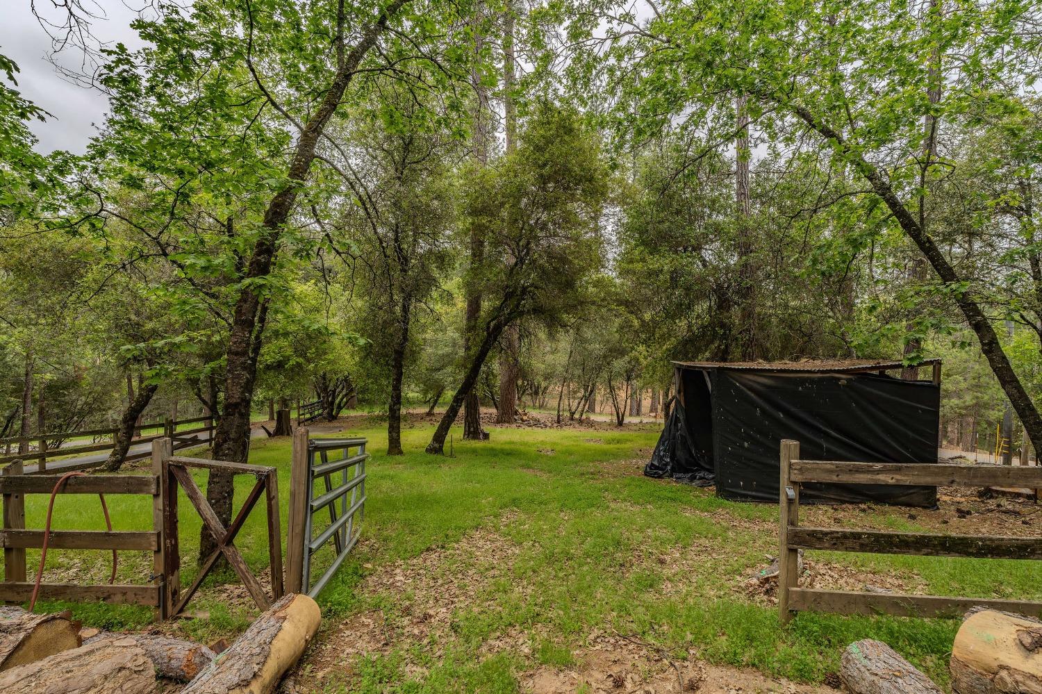 Detail Gallery Image 16 of 72 For 19621 E Clinton Rd, Jackson,  CA 95642 - 3 Beds | 2 Baths