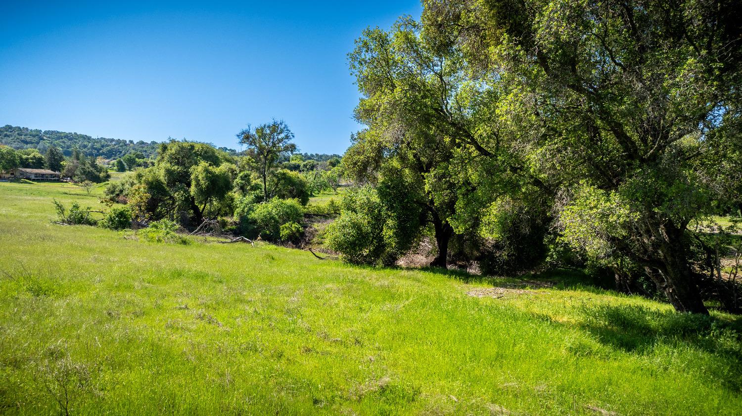 Sunshine Lane, Mokelumne Hill, California image 27