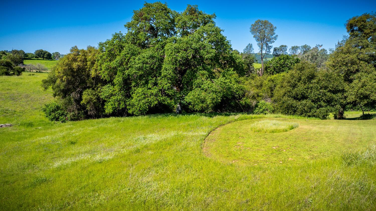 Sunshine Lane, Mokelumne Hill, California image 15