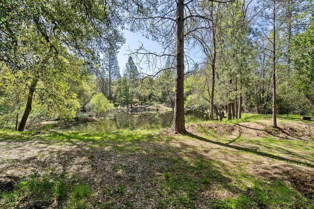 Detail Gallery Image 51 of 57 For 2940 Horseshoe Bend Rd, Somerset,  CA 95684 - 3 Beds | 2 Baths