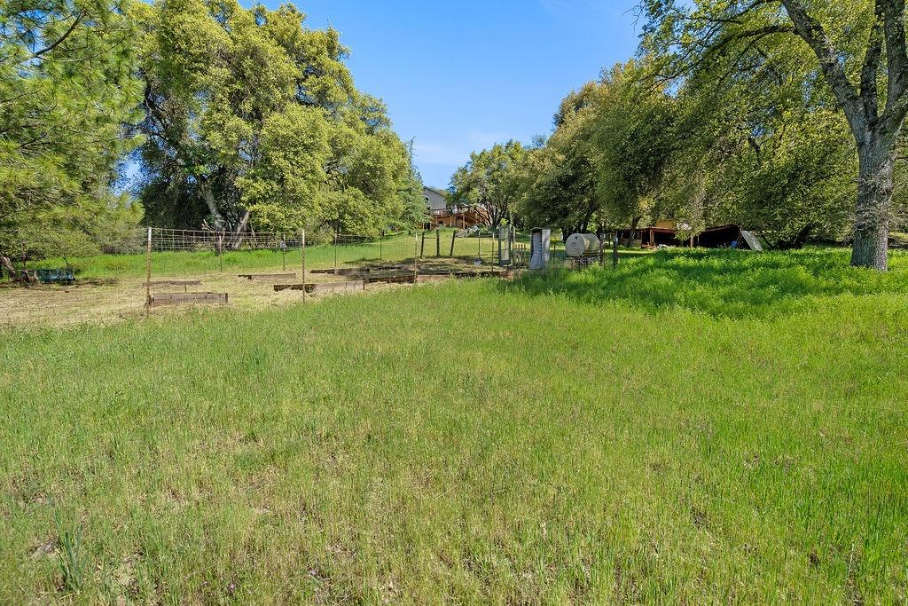 Horseshoe Bend Road, Somerset, California image 50
