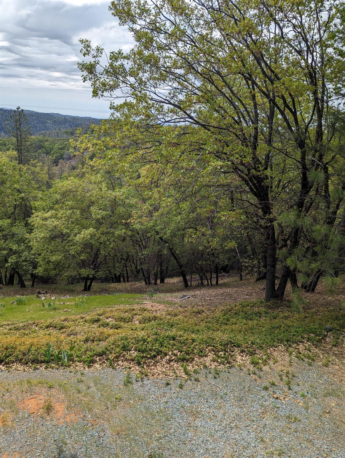 Longridge Court, Foresthill, California image 24