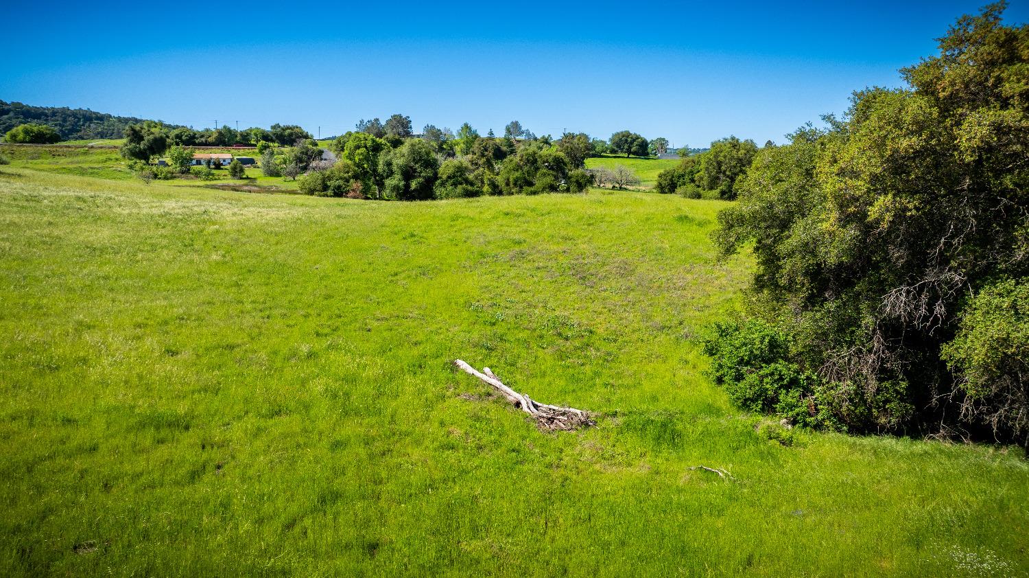 Sunshine Lane, Mokelumne Hill, California image 16