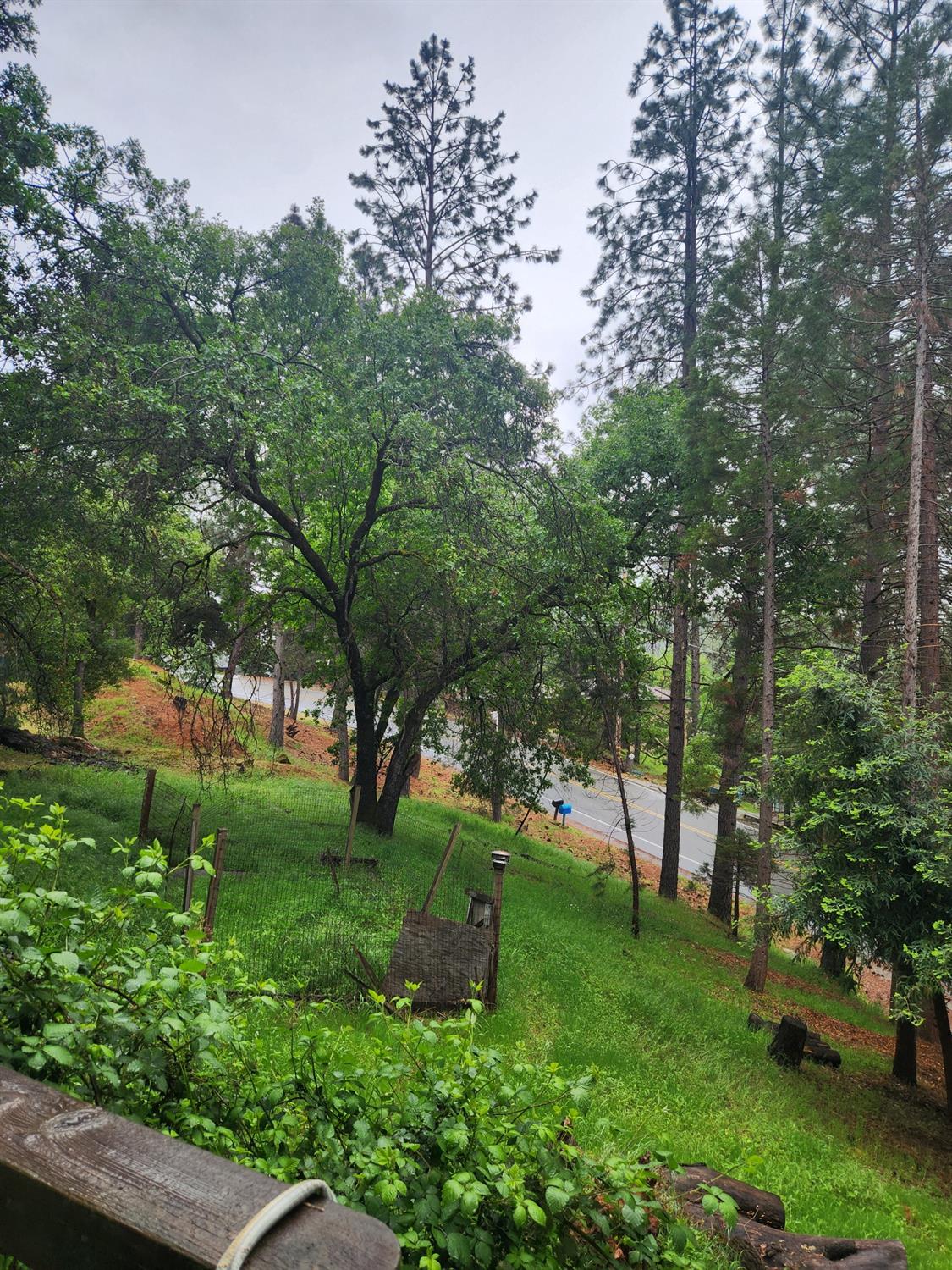 Patricia Way, Grass Valley, California image 14