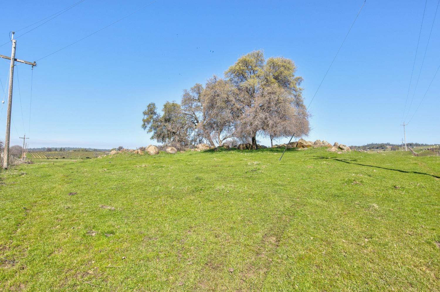 Detail Gallery Image 62 of 87 For 20865 Shenandoah School Rd, Plymouth,  CA 95669 - 5 Beds | 1 Baths