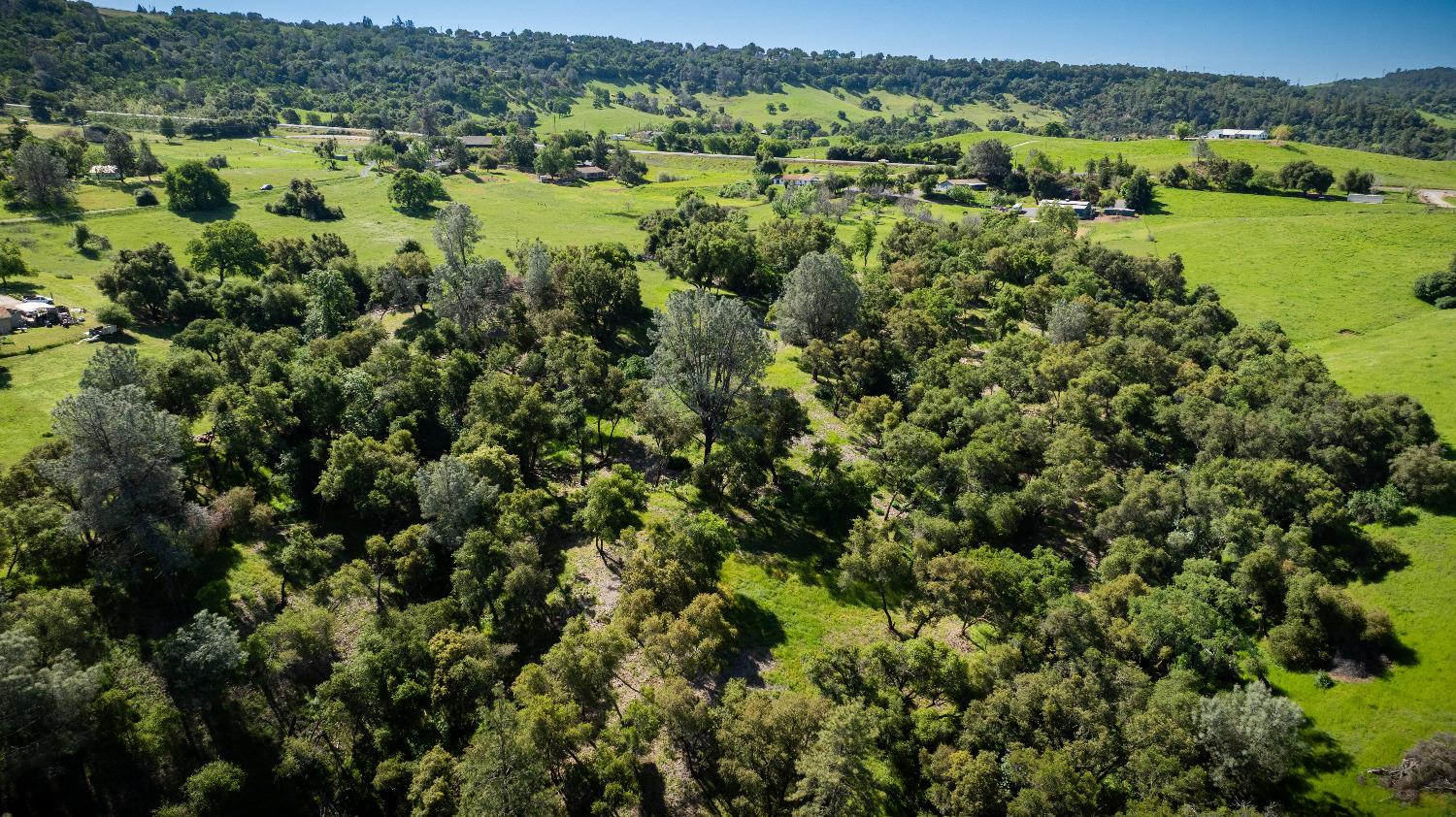 Detail Gallery Image 53 of 56 For 237 Sunshine Ln, Mokelumne Hill,  CA 95245 - – Beds | – Baths