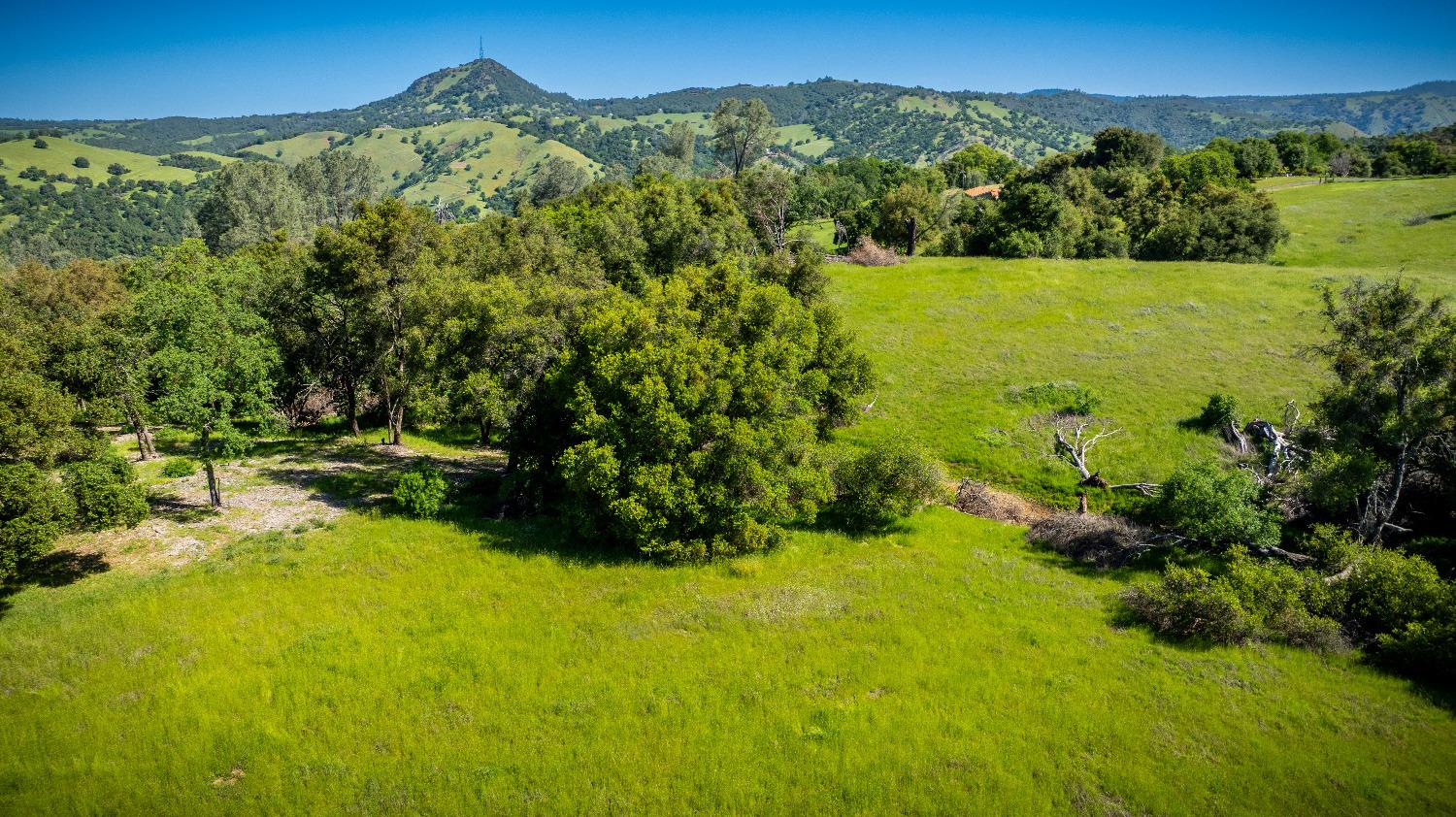 Sunshine Lane, Mokelumne Hill, California image 31