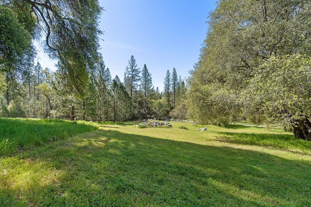 Horseshoe Bend Road, Somerset, California image 48