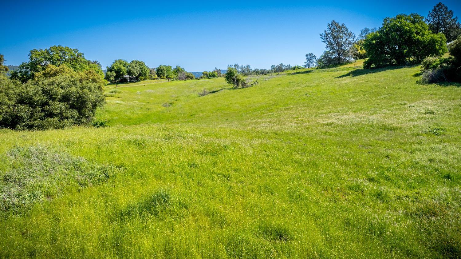 Sunshine Lane, Mokelumne Hill, California image 34