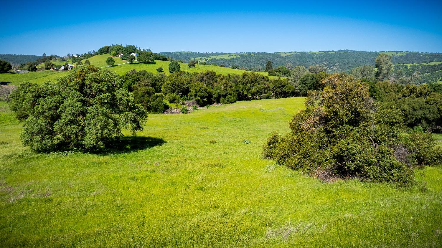 Sunshine Lane, Mokelumne Hill, California image 40