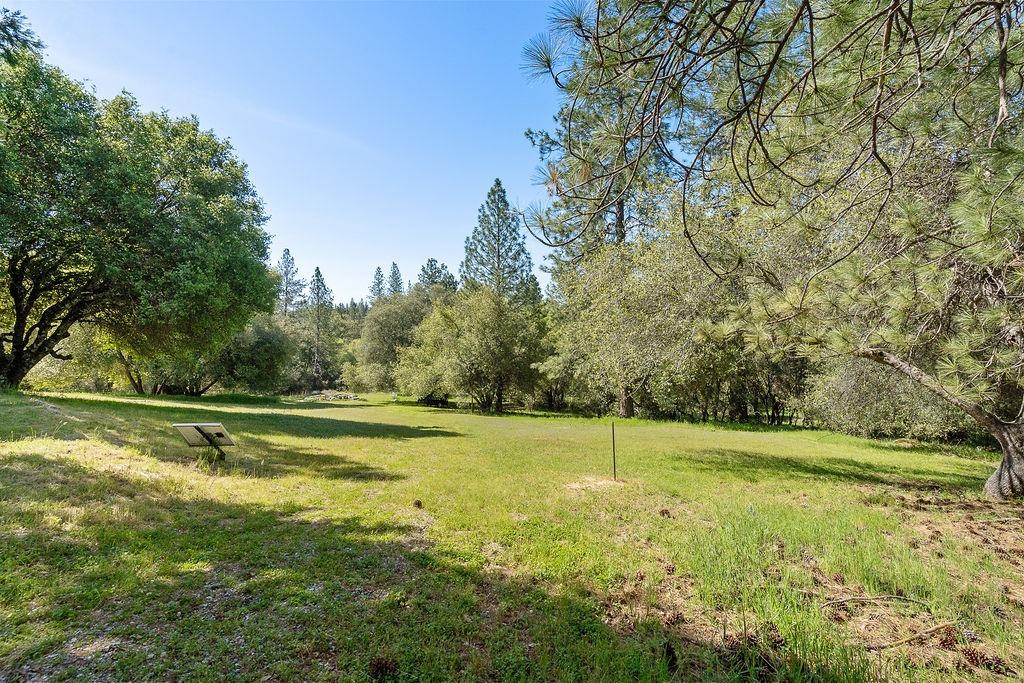 Horseshoe Bend Road, Somerset, California image 46